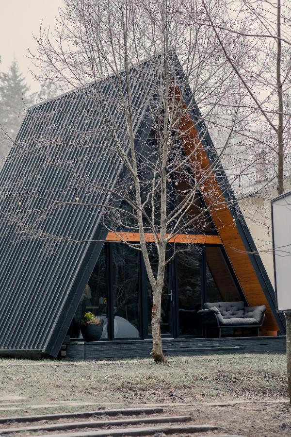 The Palo Cabins Predeal Exterior photo